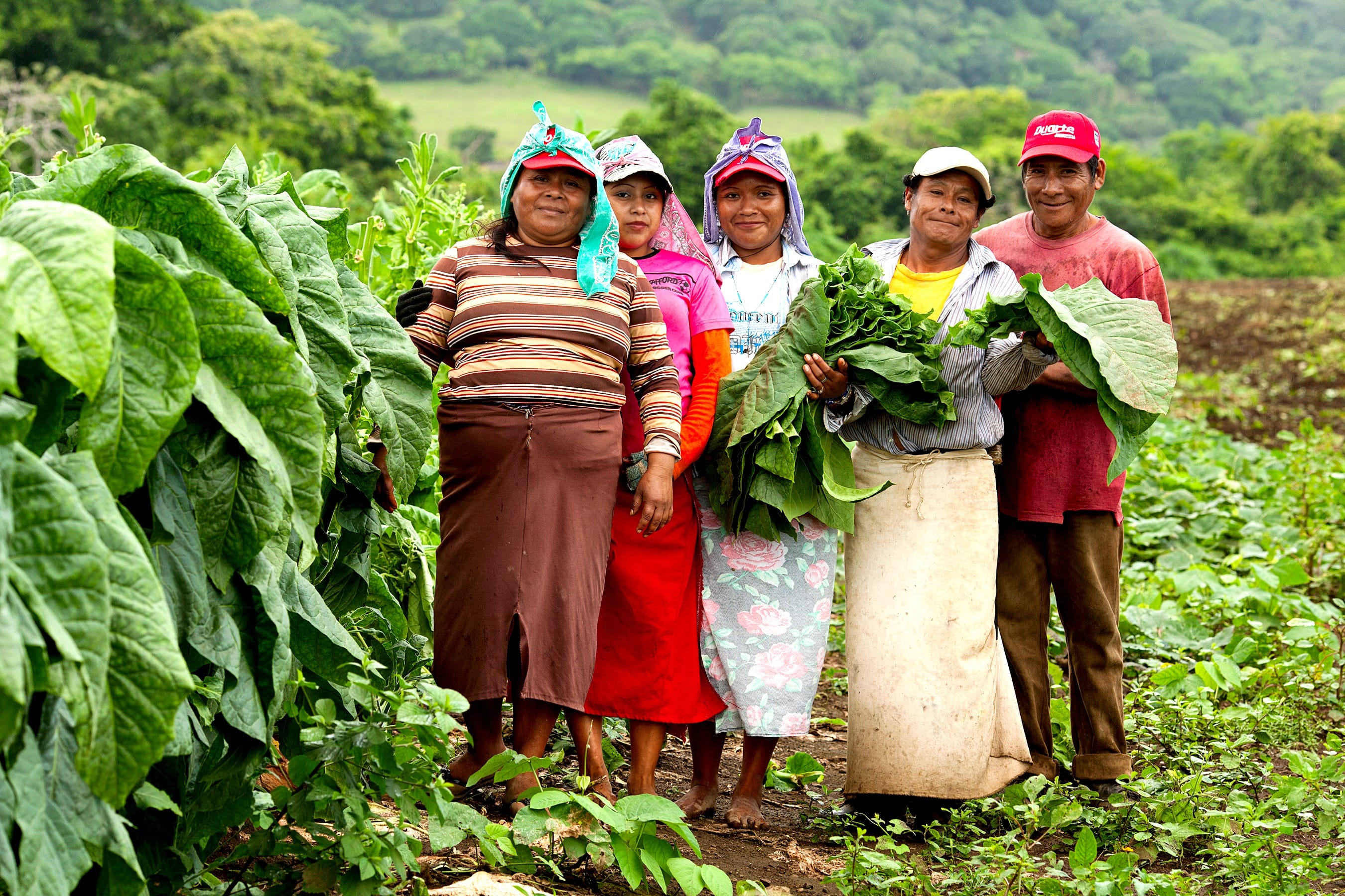 Montecristo Social Club